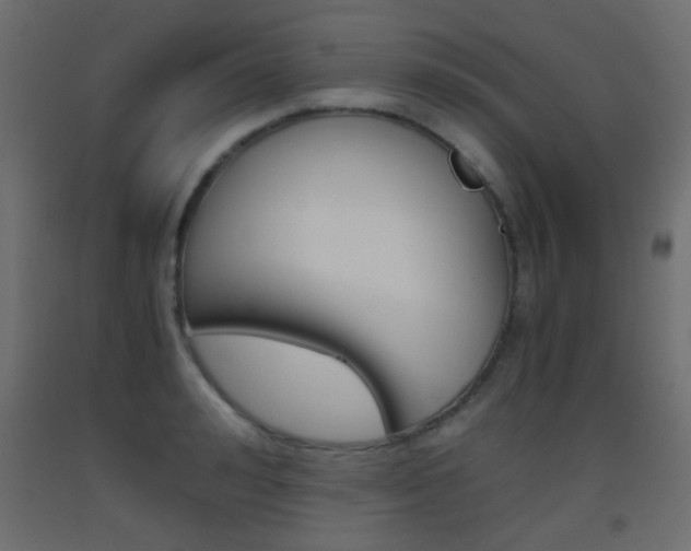 X0000093440992200710120942