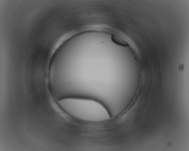 X0000093440994200710120942