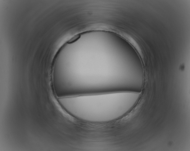 X0000093440997200710120942