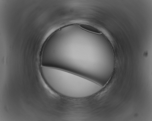 X0000093440999200710120942