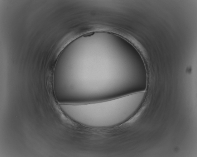 X0000093441001200710120942