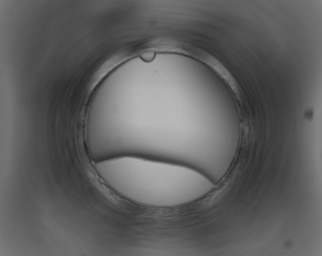 X0000093441002200710120942