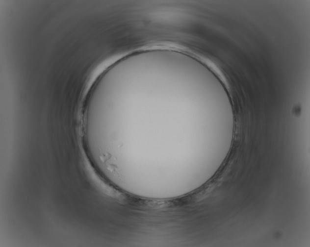 X0000093441003200710120942