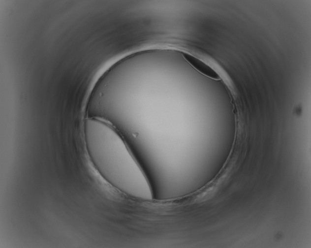 X0000093441004200710120942