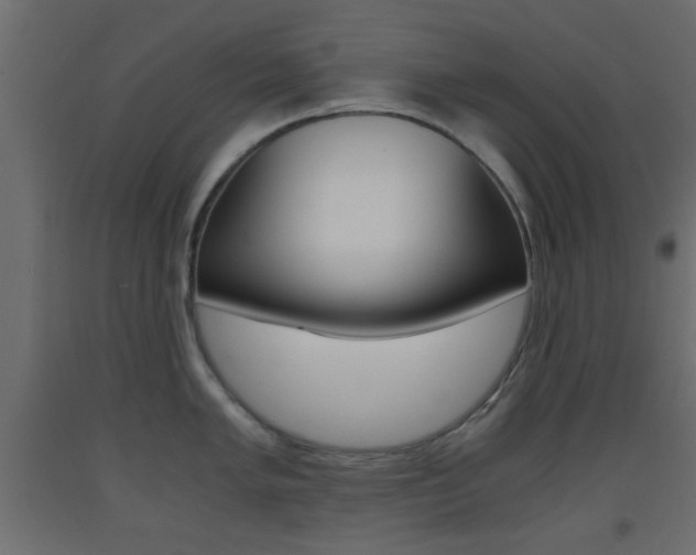 X0000093441005200710120942