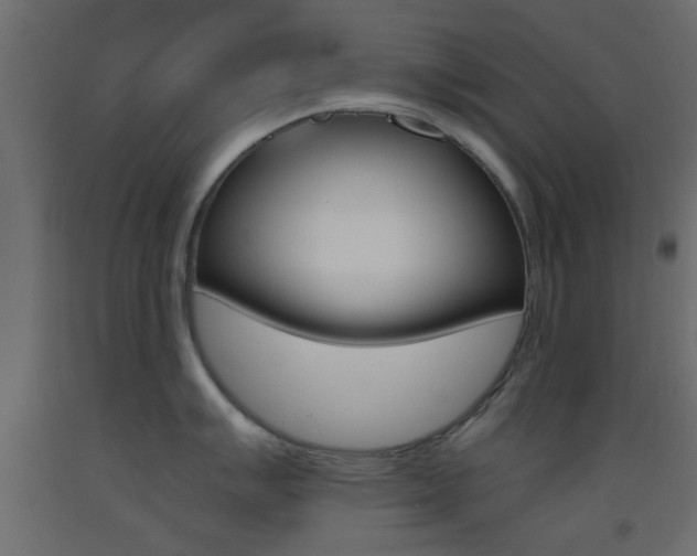 X0000093441007200710120942