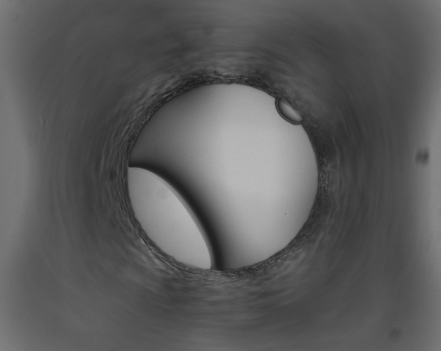 X0000093441009200710120941