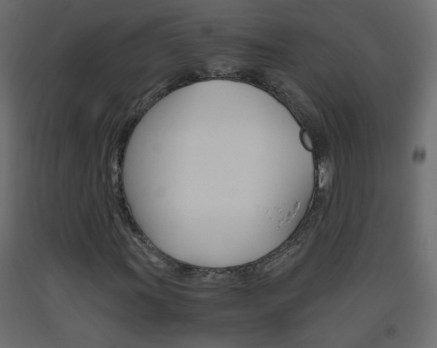 X0000093441011200710120941