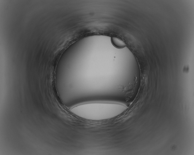 X0000093441012200710120941