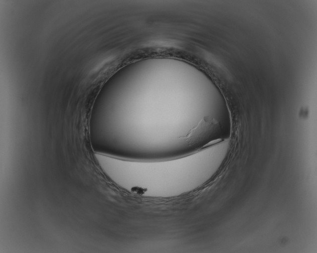 X0000093441014200710120941