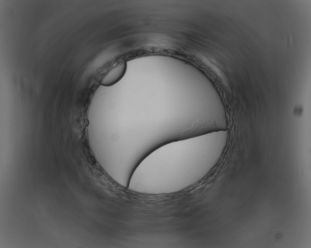X0000093441015200710120941