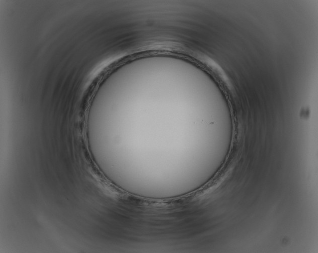 X0000093441019200710120941