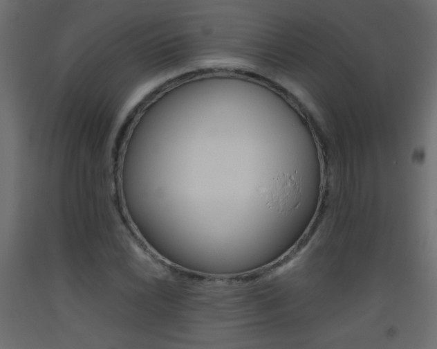 X0000093441022200710120941