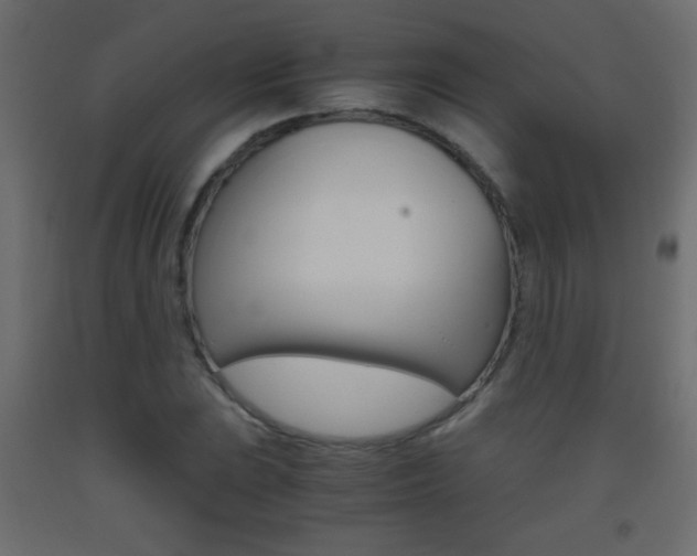 X0000093441023200710120941