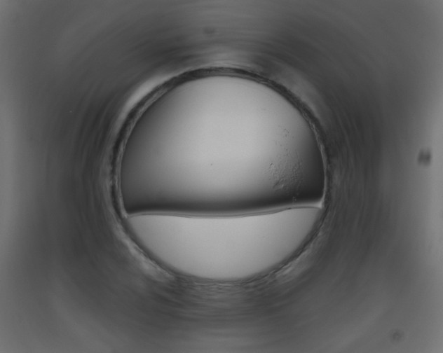 X0000093441024200710120941