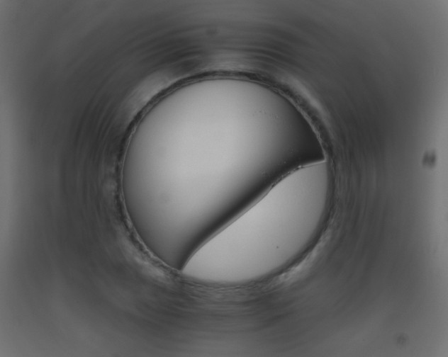 X0000093441025200710120941