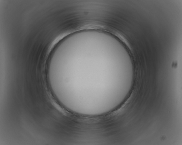 X0000093441026200710120941