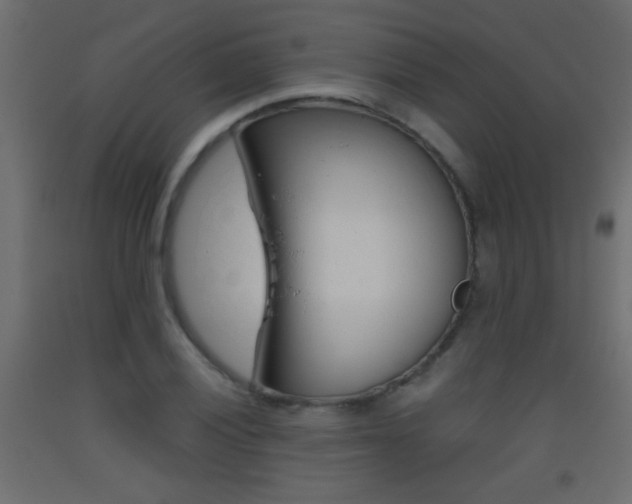 X0000093441028200710120941
