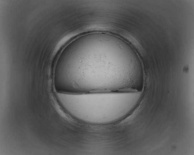 X0000093441030200710120941