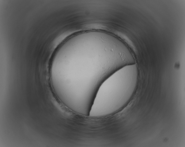 X0000093441031200710120941
