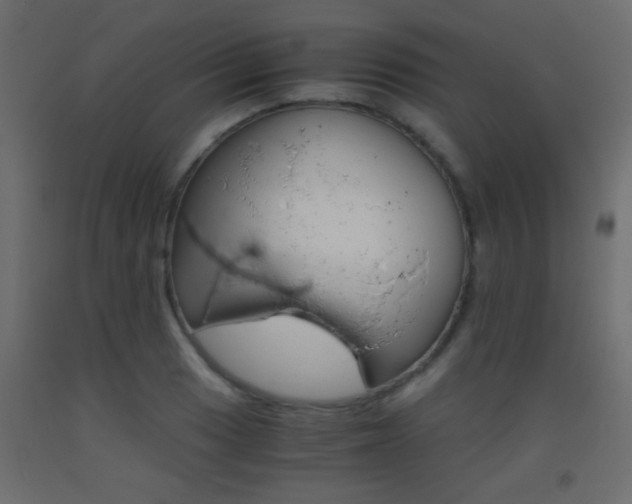 X0000093441033200710120941