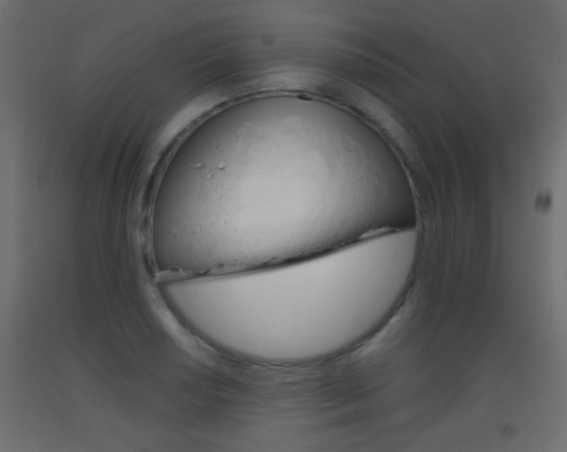 X0000093441034200710120941