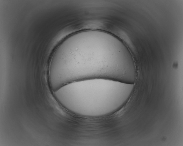X0000093441035200710120941