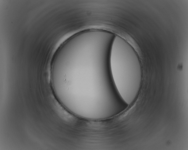 X0000093441036200710120941