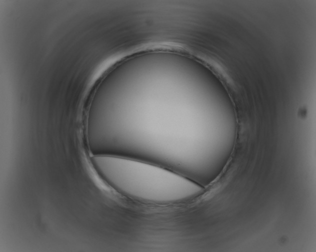X0000093441038200710120941