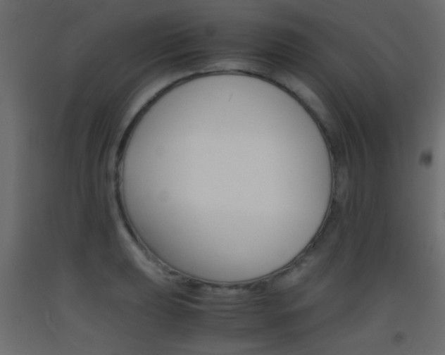 X0000093441039200710120941