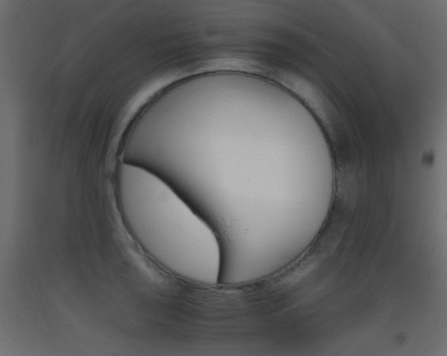 X0000093441043200710120941