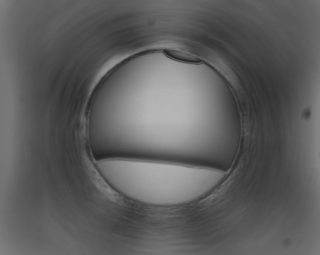 X0000093441044200710120942