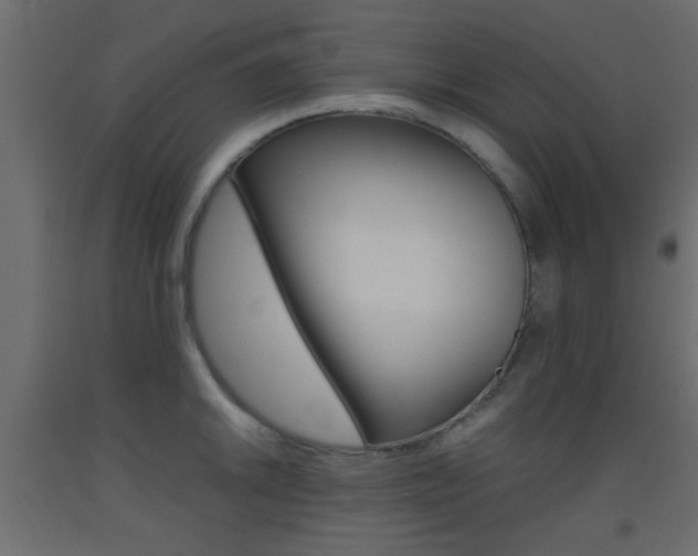 X0000093441046200710120942