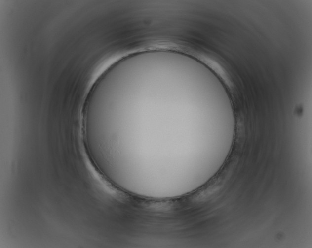 X0000093441047200710120942