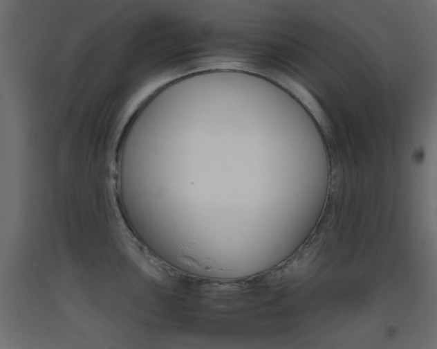 X0000093441051200710120942
