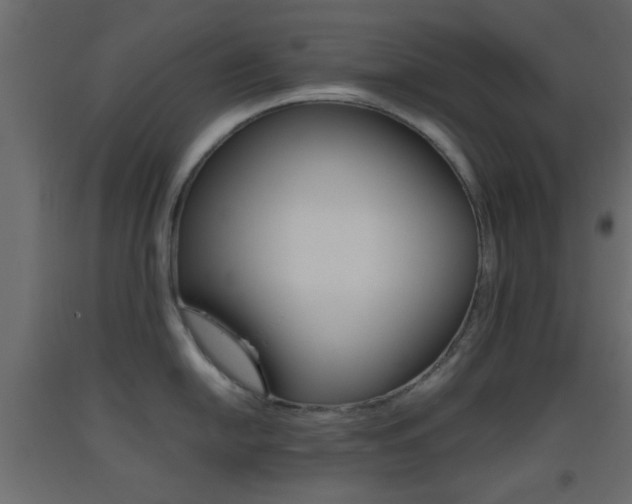 X0000093441054200710120942