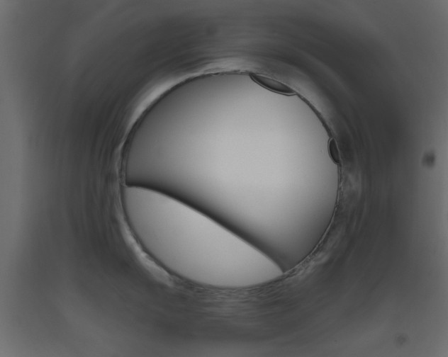 X0000093441055200710120942