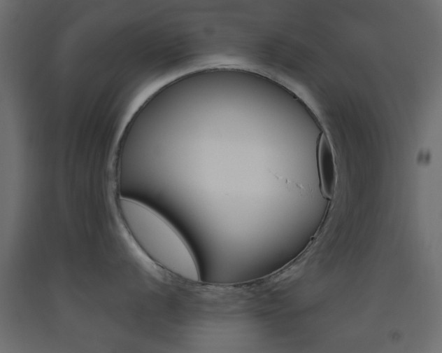 X0000093441056200710120942