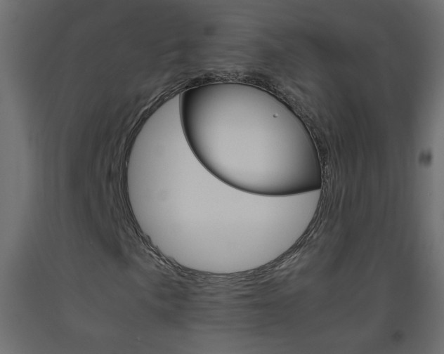 X0000093441057200710120941