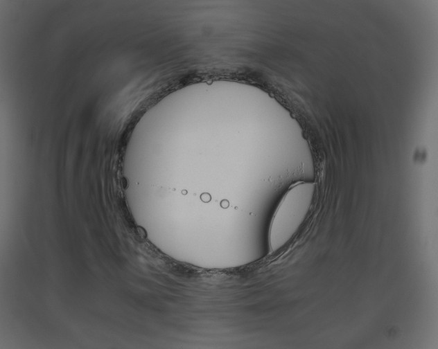 X0000093441059200710120941
