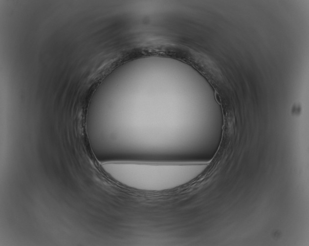 X0000093441060200710120941