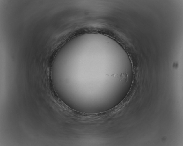 X0000093441061200710120941