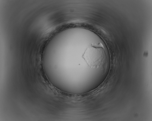 X0000093441062200710120941