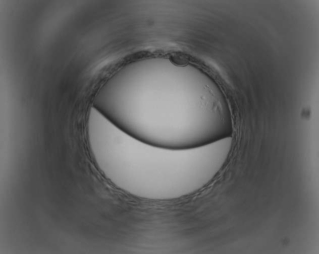 X0000093441063200710120941