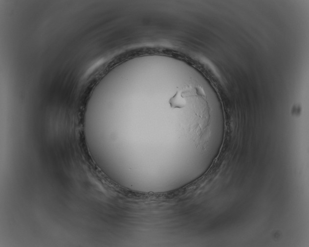 X0000093441064200710120941