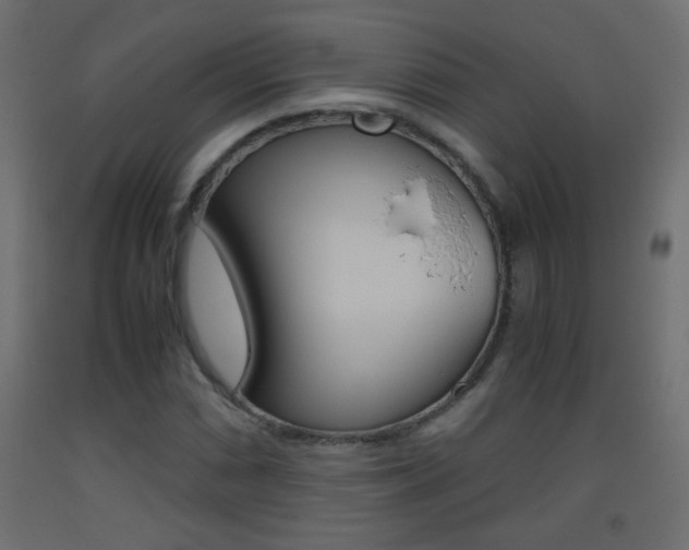 X0000093441066200710120941