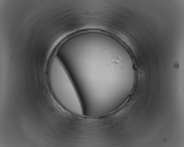 X0000093441068200710120941