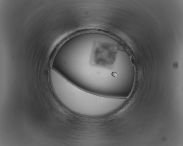 X0000093441069200710120941