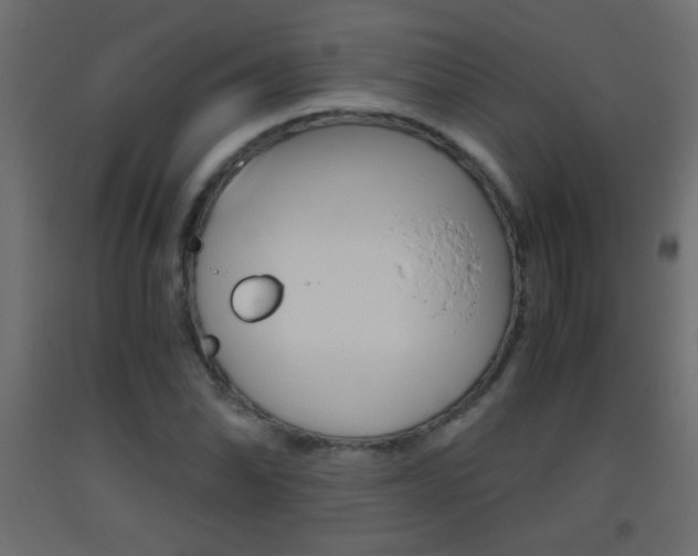 X0000093441070200710120941