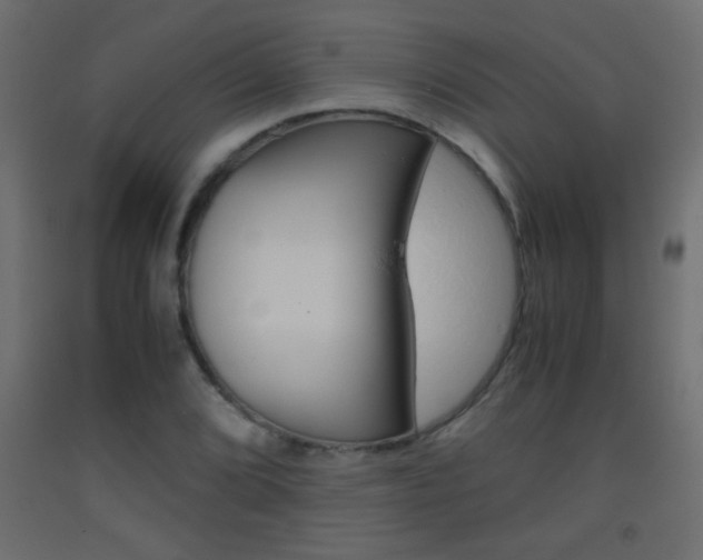 X0000093441072200710120941